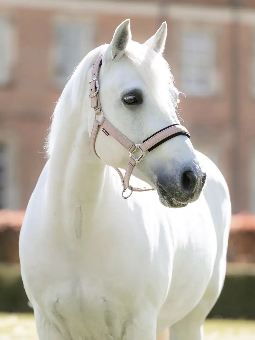 LeMieux Hertiage Headcollar
