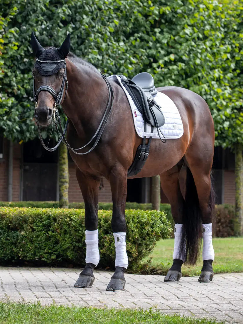 LeMieux Loire Classic Dressage Square