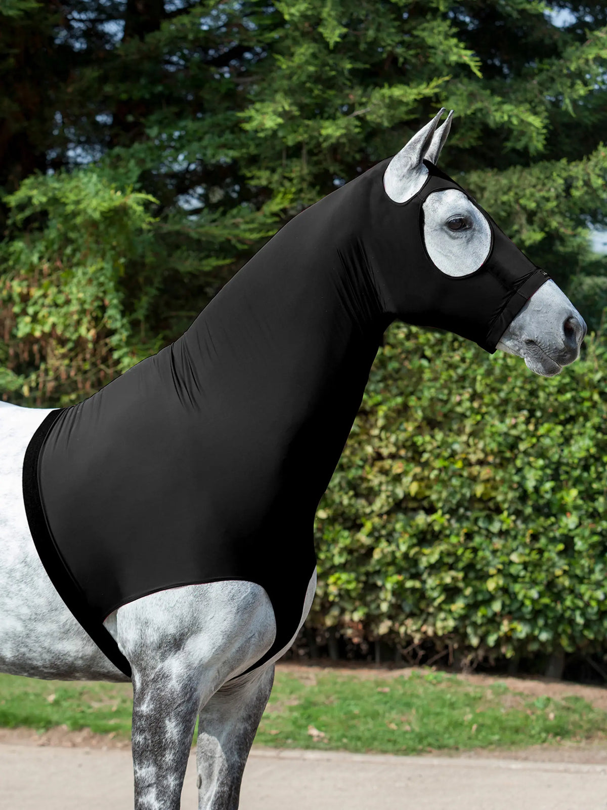 LeMieux Stretch Hood | Horse Supplies - Summer RUg | Saddleworld Ipswich