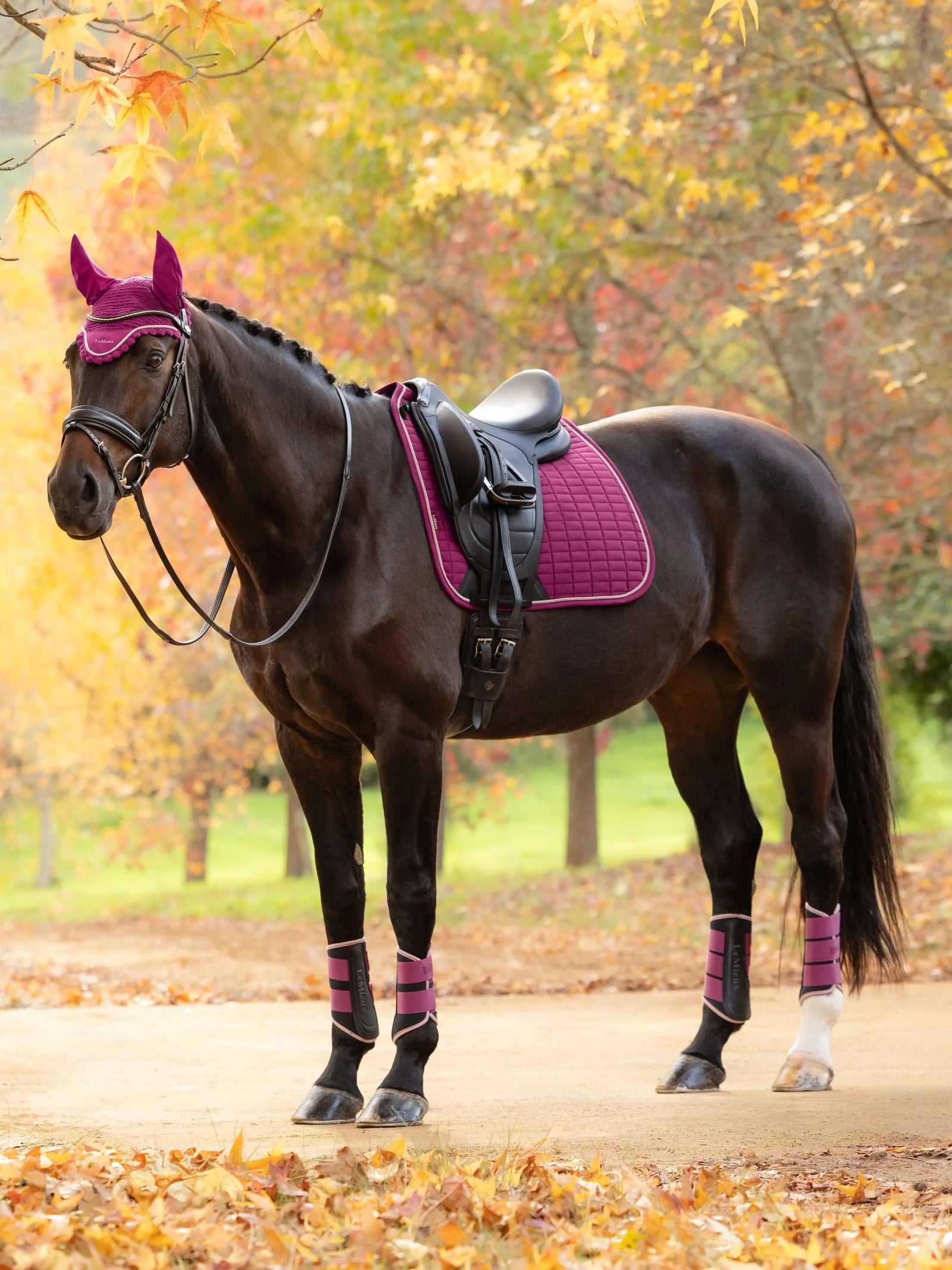 LeMieux Suede Dressage Square