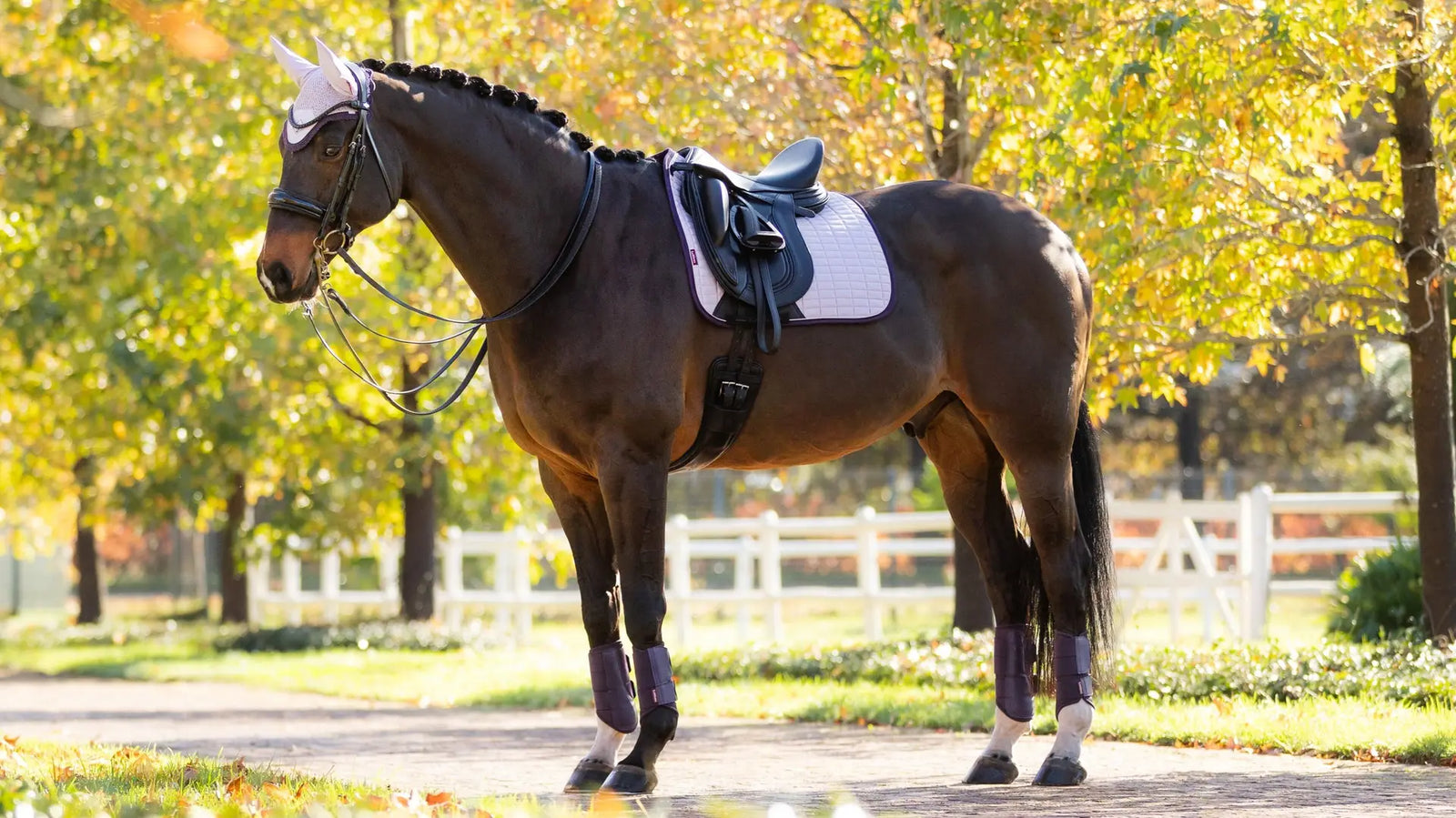 LeMieux Suede Dressage Square Lilace Saddle Cloth