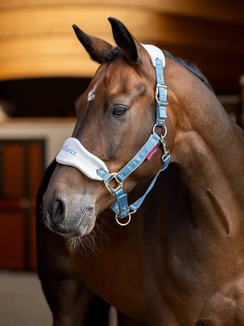 LeMieux Vogue Halter and Lead Set | Horses Supplies  - Halter | Saddleworld Ipswich