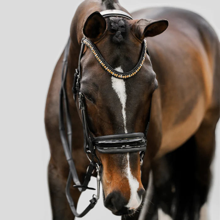 Lumiere Ariana Double Bridle