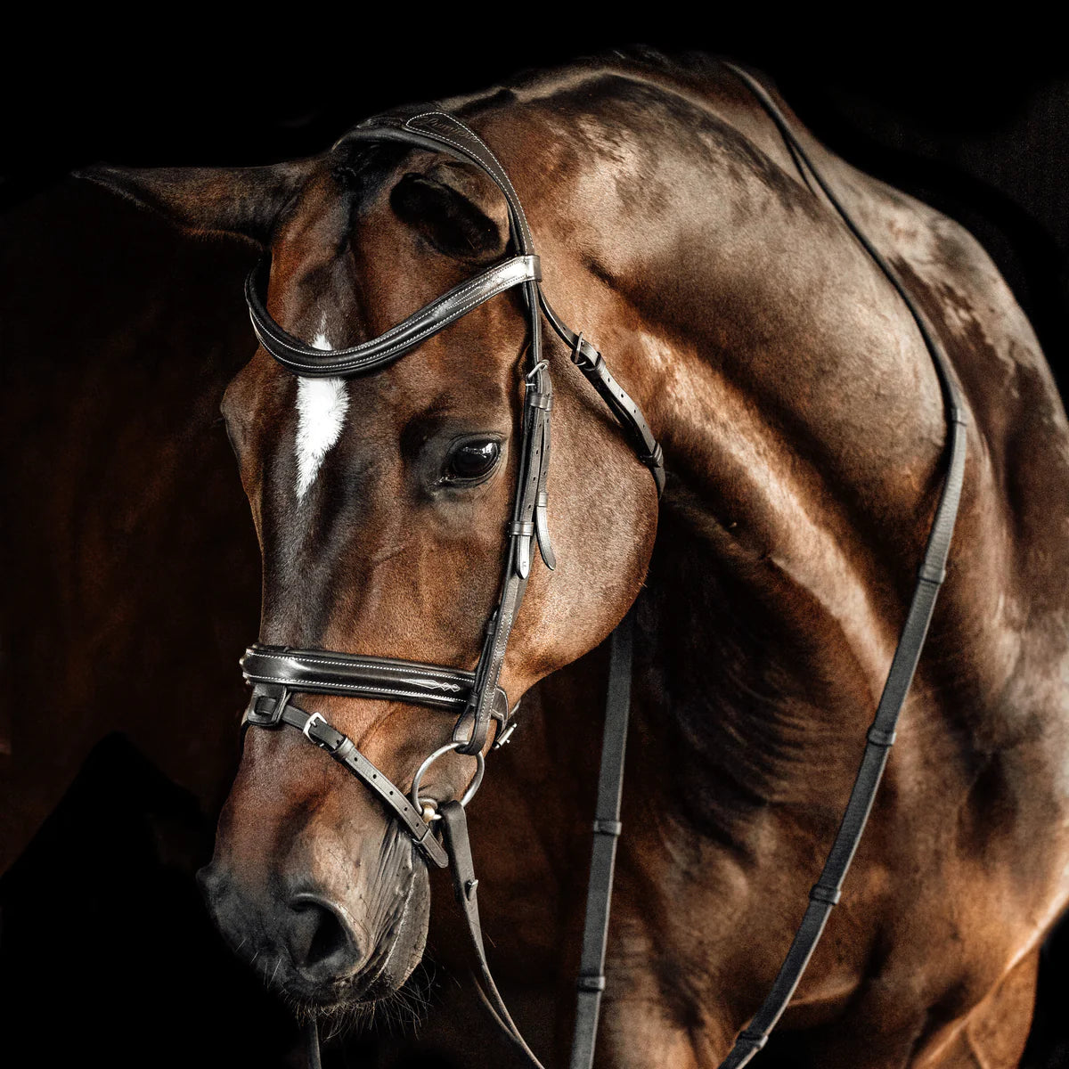 Lumiere Milan Bridle