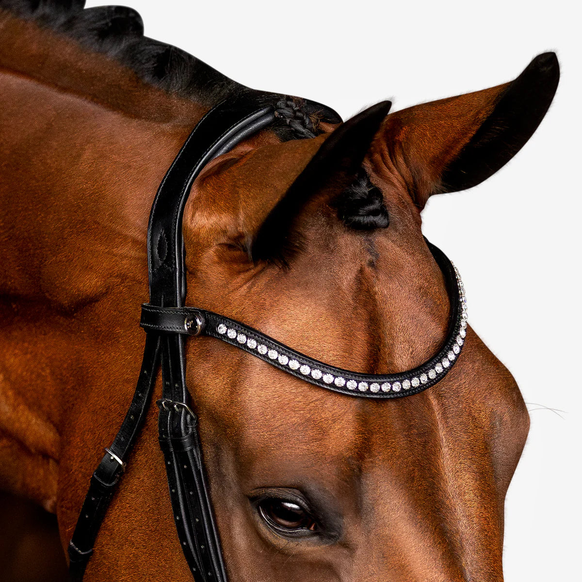 Lumiere Aurelie Flat Leather Bridle Cavesson