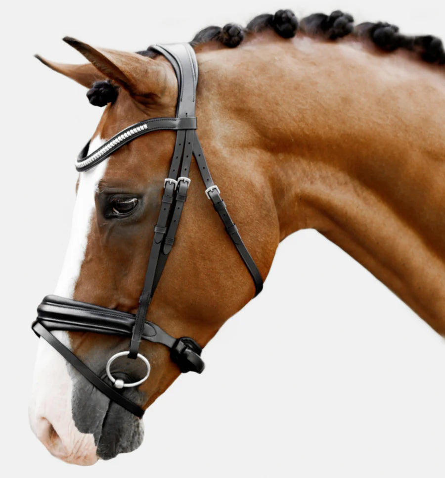 Lumiere Melodie Classic Bridle | Horse Supplies - English Bridle | Saddleworld Ipswich