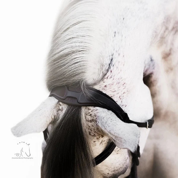 Lumiere Milan Bridle