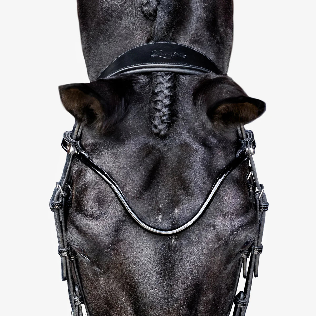 Lumiere Penny Bridle
