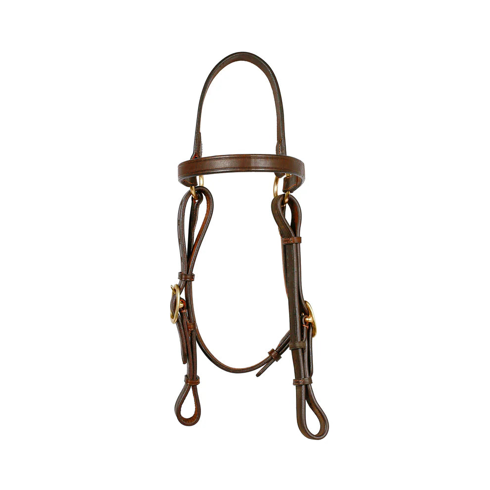 Syd Hill Barcoo Bridle Head