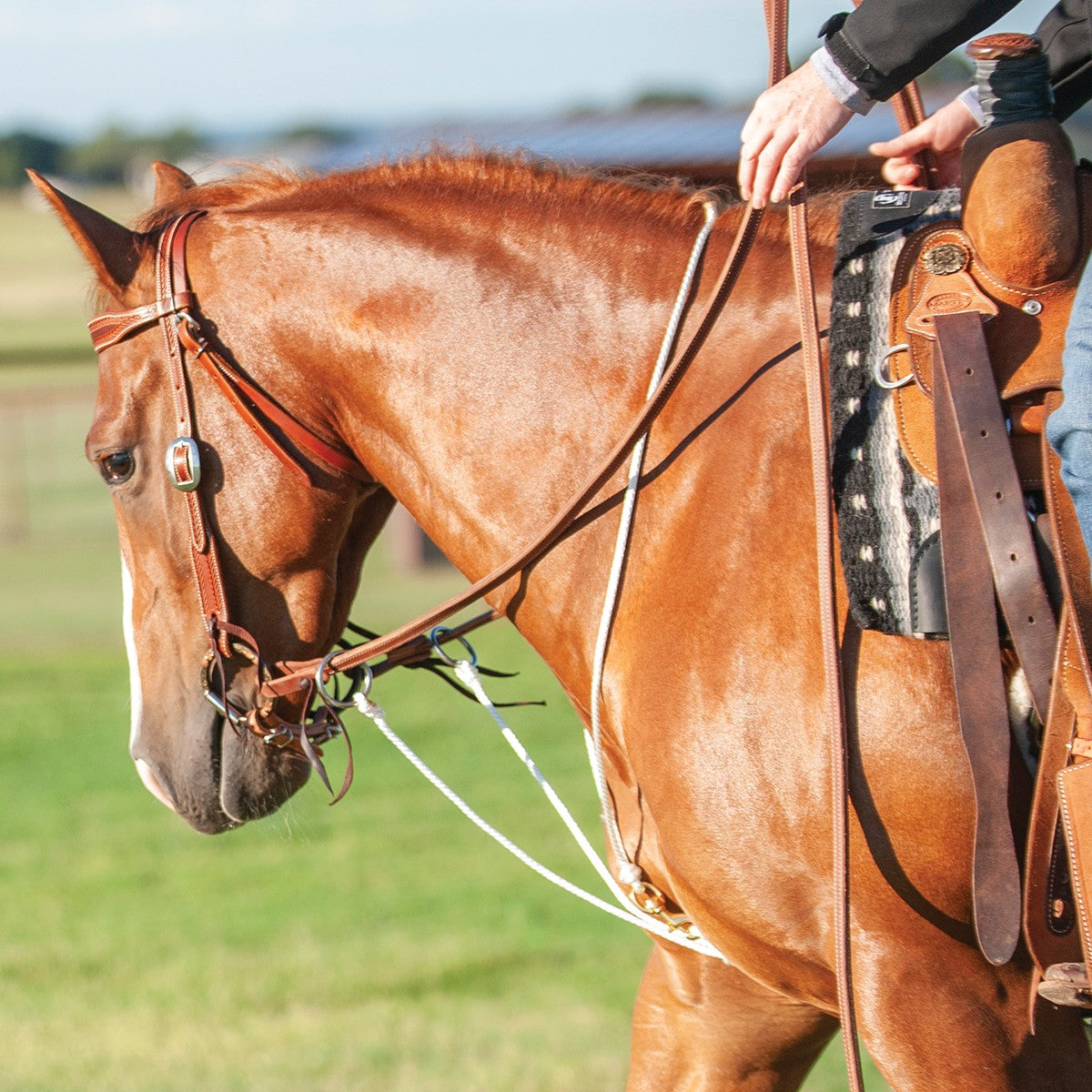Martin Saddlery String Martingale | Horse Supplies - Breastplate | Saddleworld Ipswich