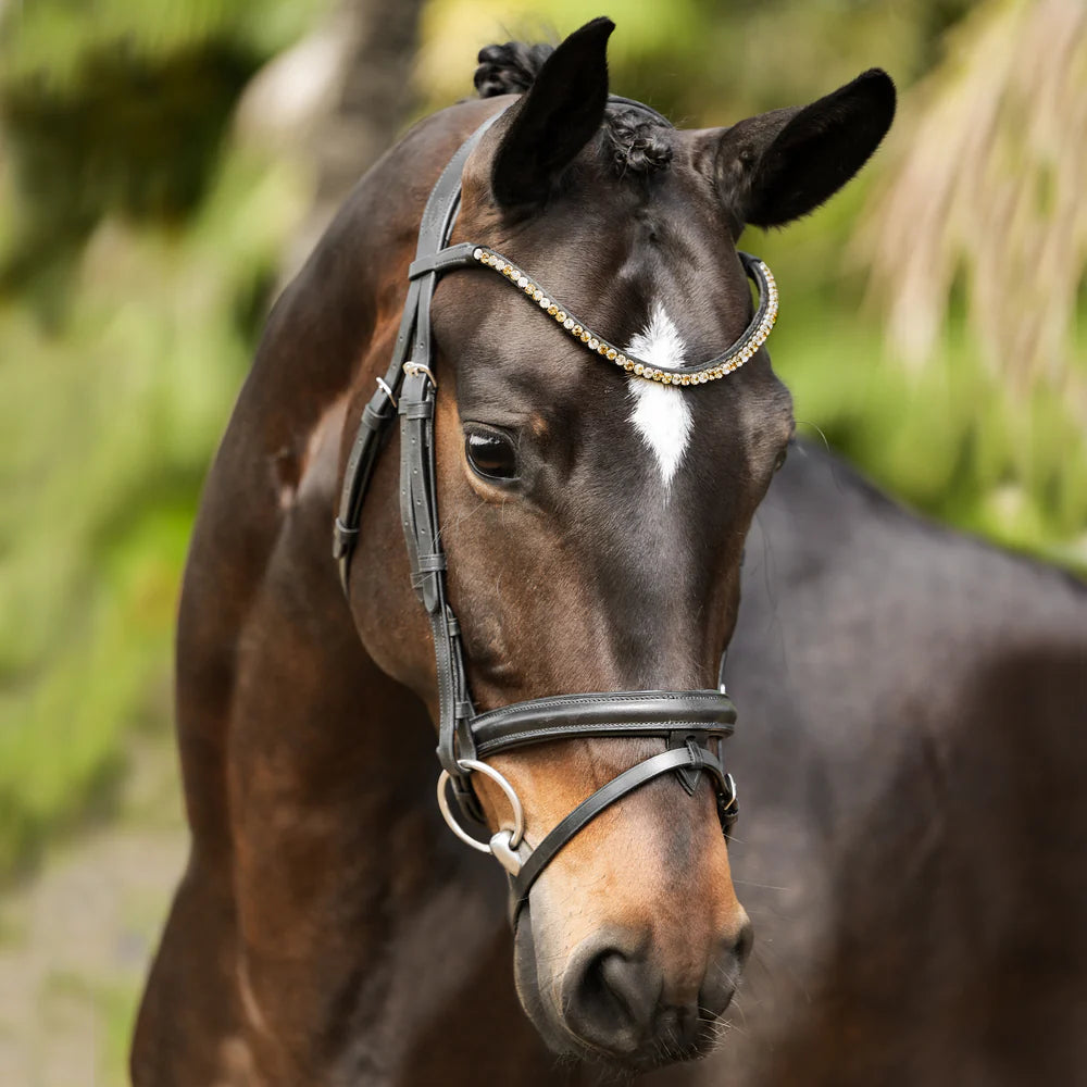 Lumiere Megan Convertible Leather Bridle