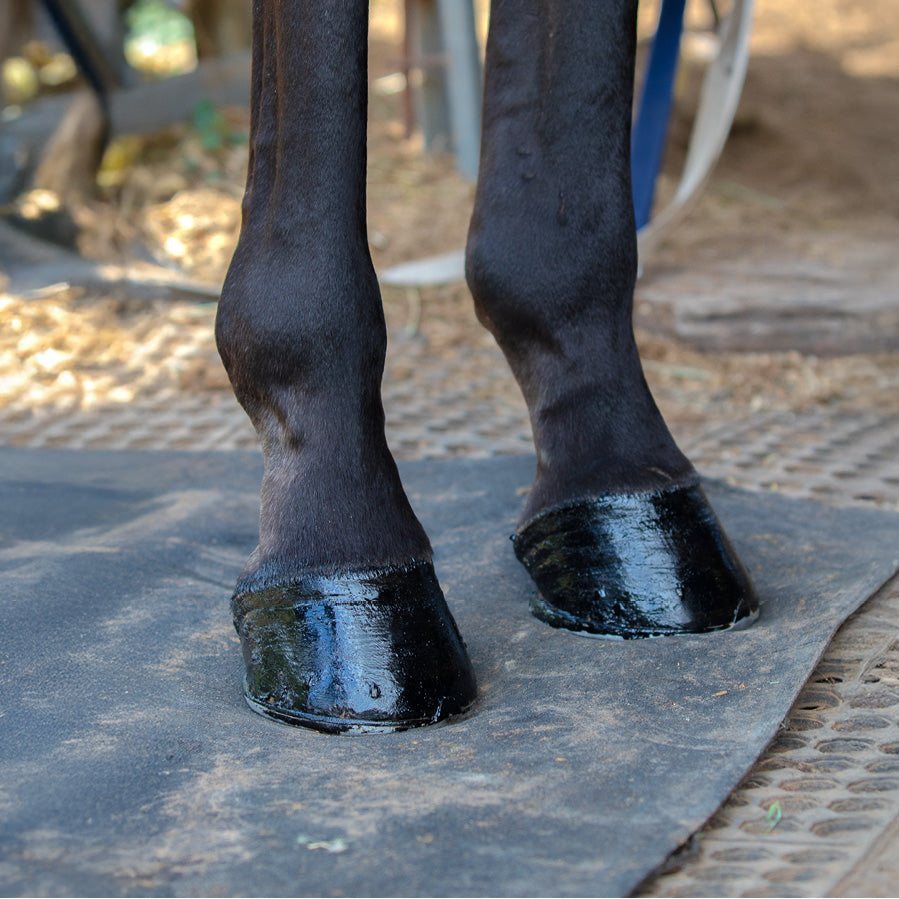 Nolian Enterprises Hoof Safe Shine | Stable Supplies - Grooming | Saddleworld Ipswich