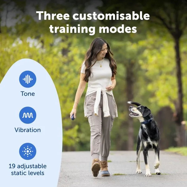 Petsafe Pro Dog Trainer with Remote 300m