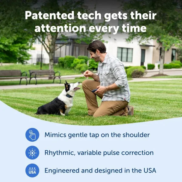Petsafe Pro Dog Trainer with Remote 300m