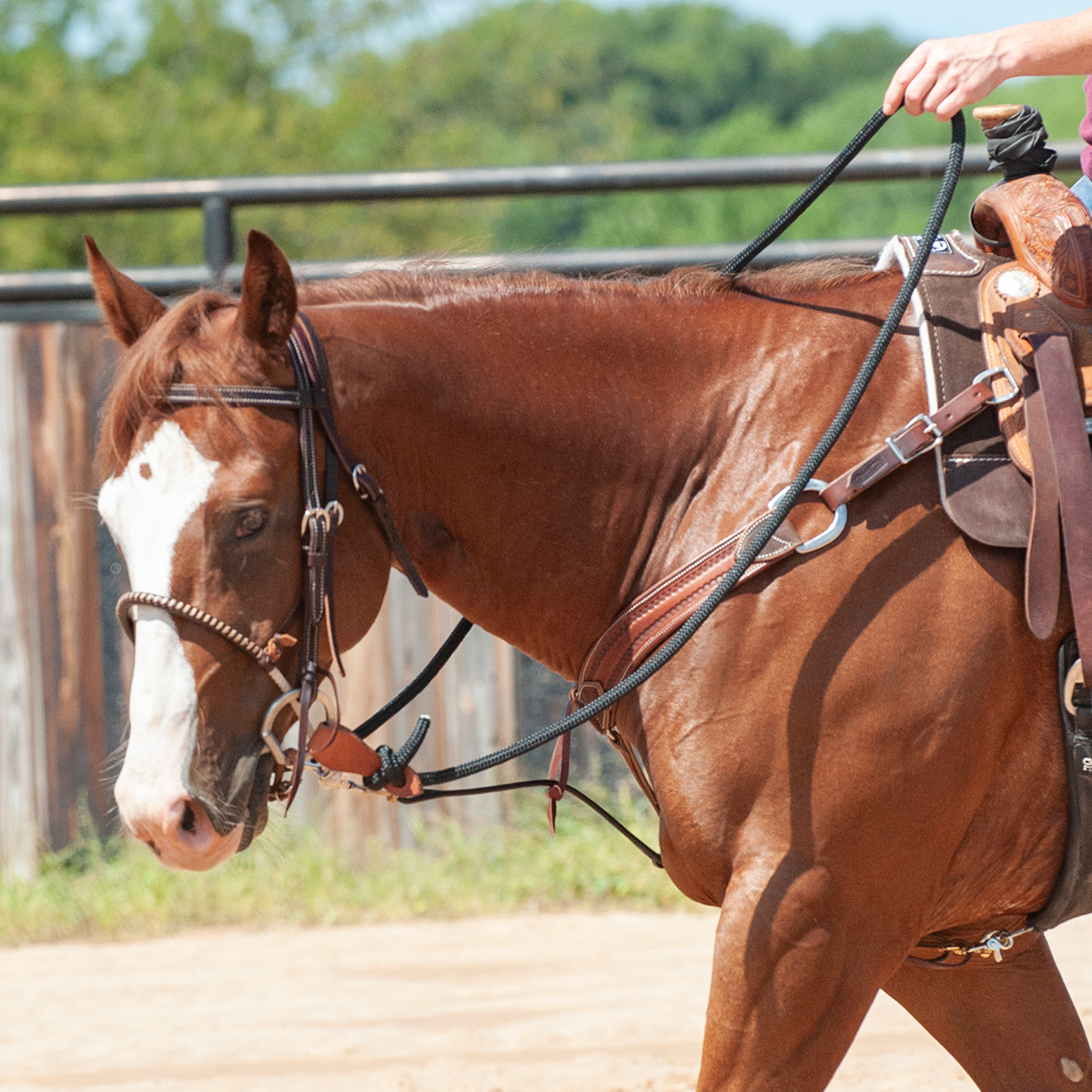 Martin Saddlery 1/2 Braided Rein