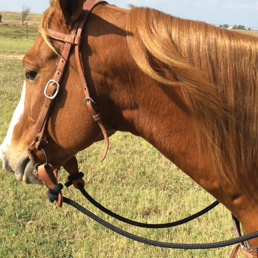 Martin Saddlery 1/2 Braided Rein