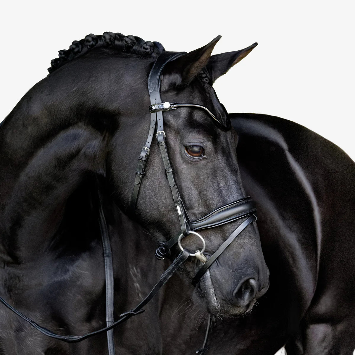 Lumiere Penny Bridle