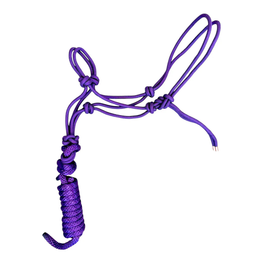 Toprail Knotted Rope Halter and Lead | Horse Supplies - Halter | Saddleworld Ipswich
