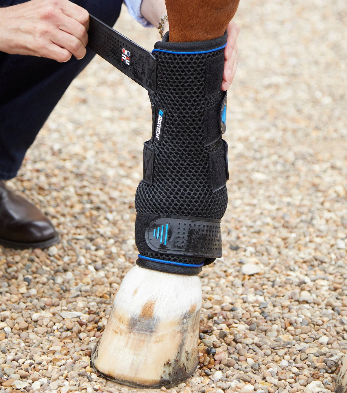 Premier Equine Cold Water Compression Boots | Horse Supplies - Horse Boots | Saddleworld Ipswich