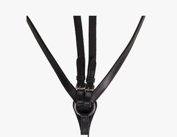 QHP Breastplate Basic Pro