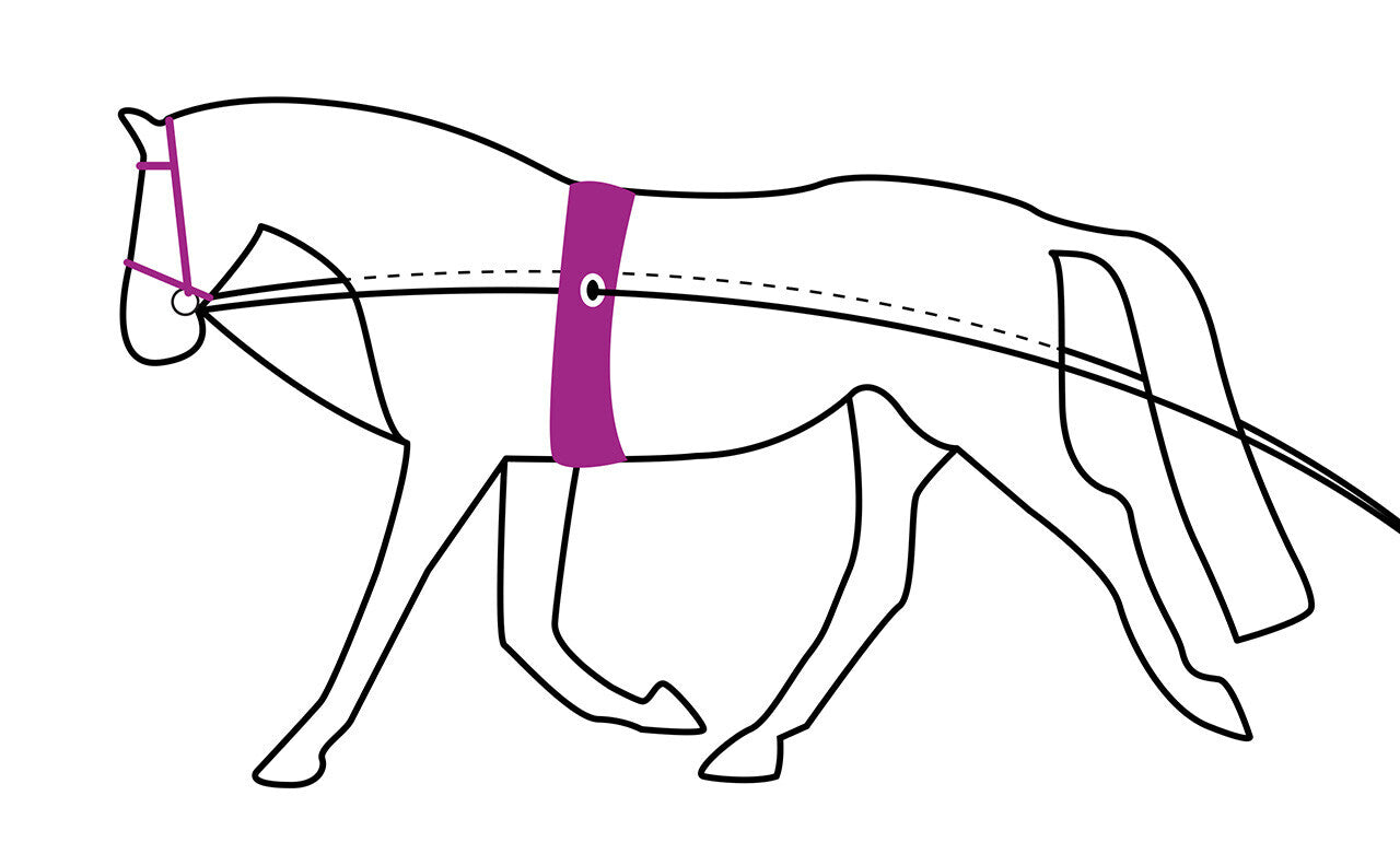 QHP Lunging Rein Double | HOrse SUpplies - Lunge | Saddleworld Ipswich