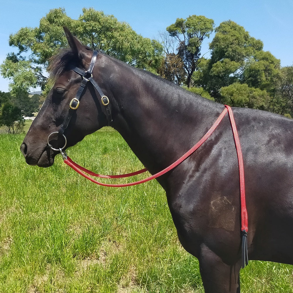 Nungar Knots Reins Flat 2m Split with Stainless Steel Clips