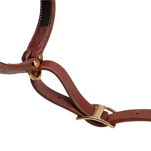 Schutz Ranch Collection Tie Down Set Heavy Oil 1in