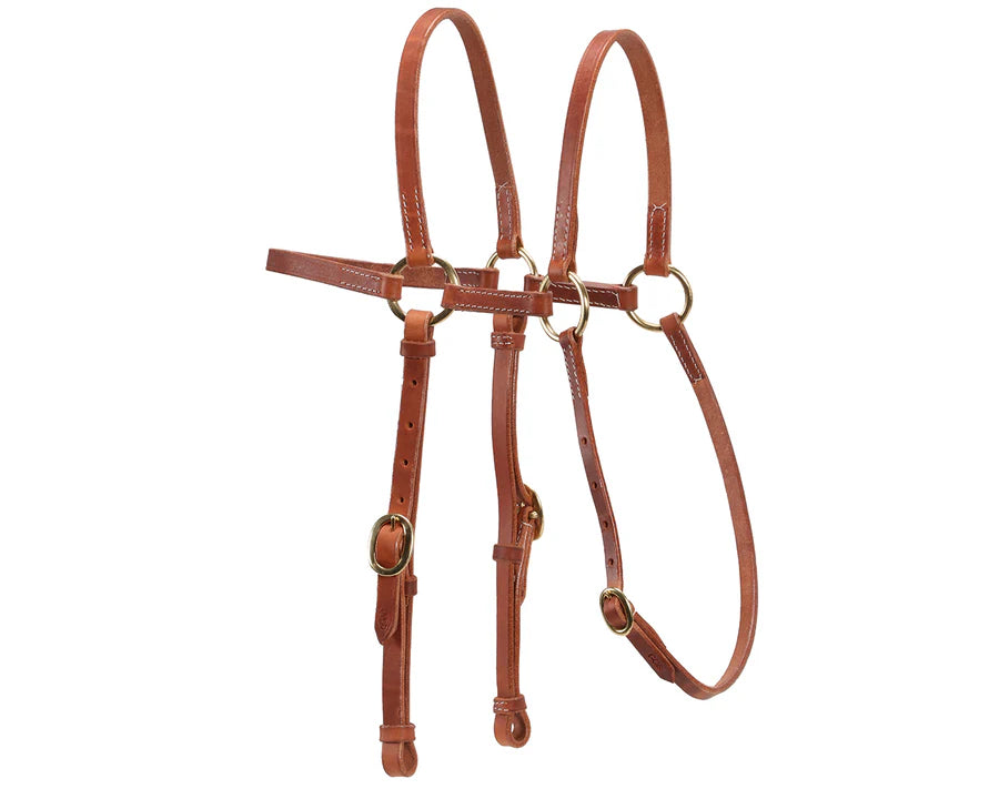 Fort Worth Extended Head Barcoo Bridle