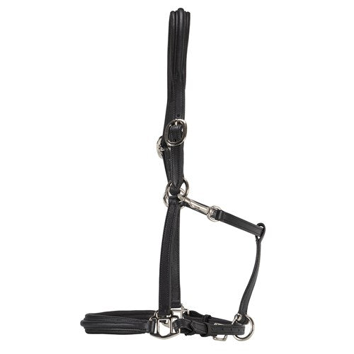 Landsborough Leather Halter