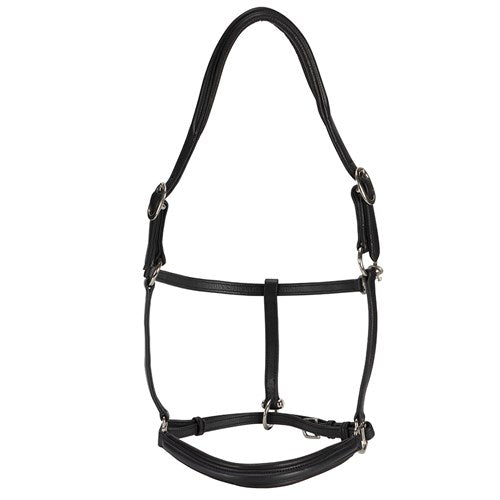 Landsborough Leather Halter