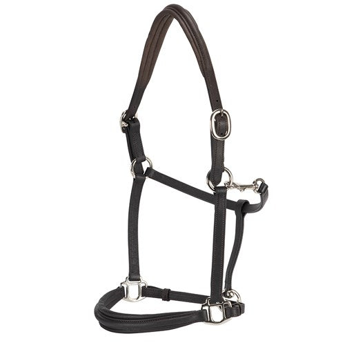 Landsborough Leather Halter