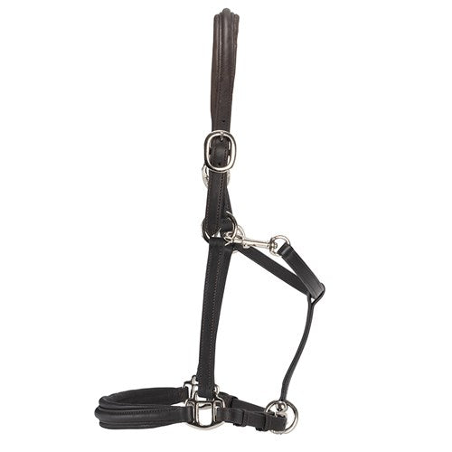Landsborough Leather Halter