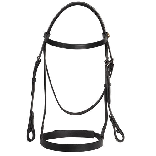 Jeremy And Lord Weymouth Bridle