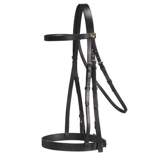 Jeremy And Lord Weymouth Bridle