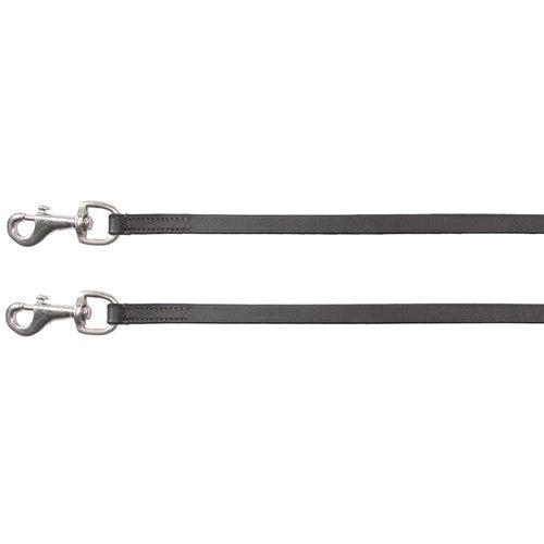 Jeremy and Lord Leather Draw Reins