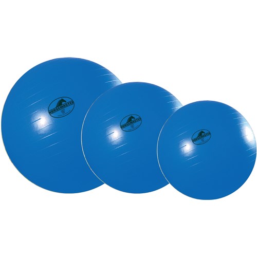 Mega Horse Ball and Cover Set