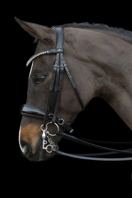 Schockemohle Milazzo Double Bridle