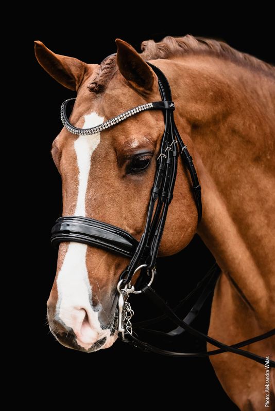 Schockemohle Monticelli Double Bridle