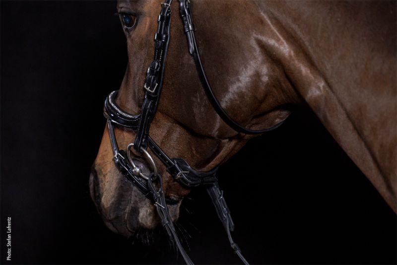 Schockemohle Sports - Bridle Equitus Beta Glam