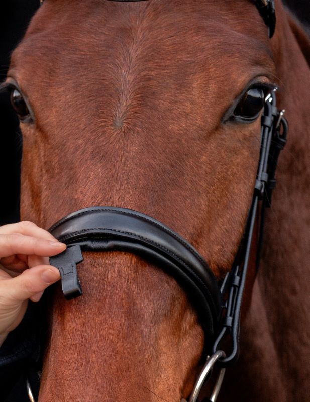 Schockemohle Sports - Malaga Bridle | Horse Supplies - Bridle | Saddleworld Ipswich