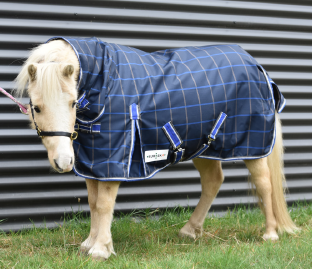 Eureka Miniature Synthetic Summer Combo