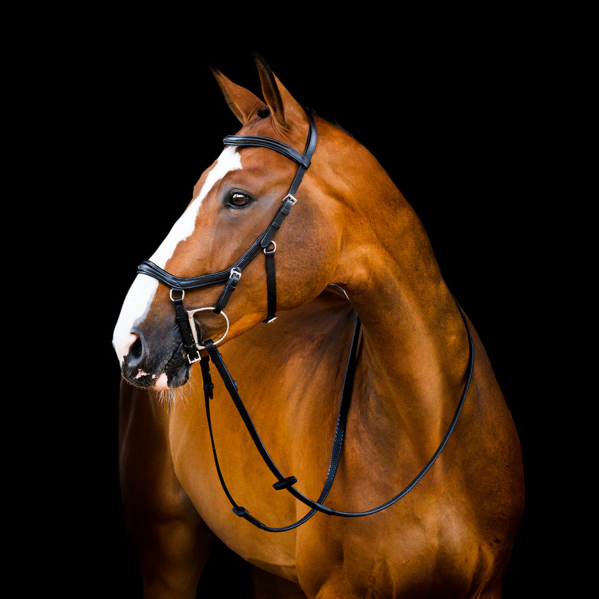 Horseware Micklem 2 Deluxe Competition Bridle