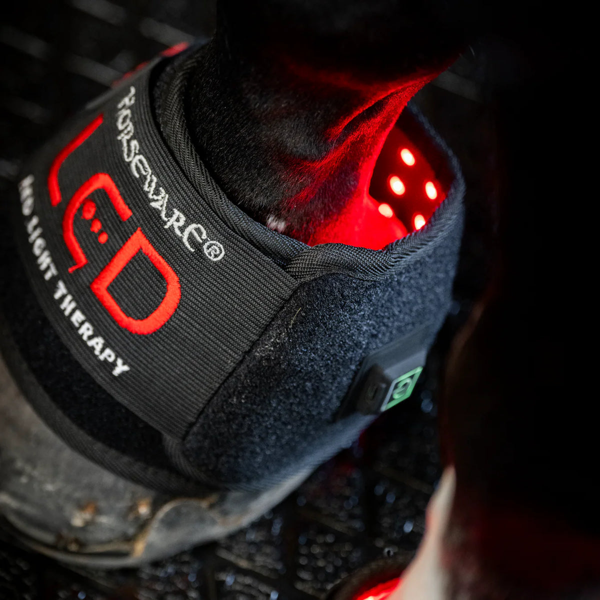 Horseware LED Red Light Therapy Mini Wrap