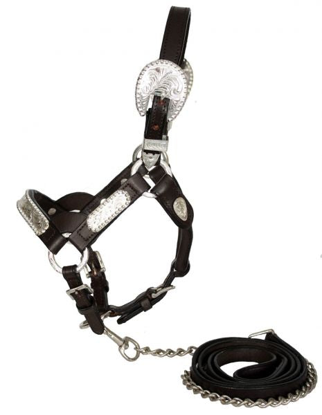 Showman Leather Mini Size Engraved Silver Show Halter | Horse Supplies - Halter | Saddleworld Ipswich