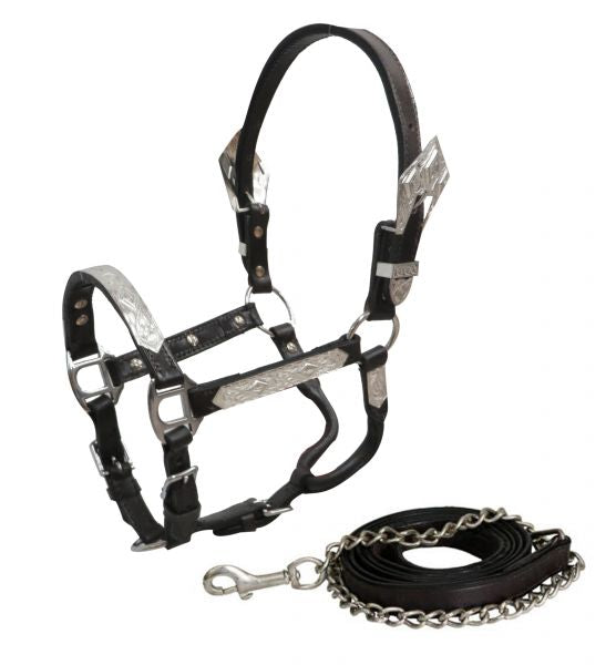 Showman Mini Dark Leather Show Halter with Lead | Horse SUpplies - Halter | Saddleworld Ipswich