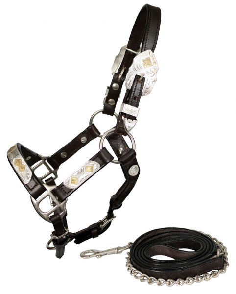 Showman Mini Leather Show Halter | HOrse Supplies  - Halters and Leads | Saddleworld Ipswich