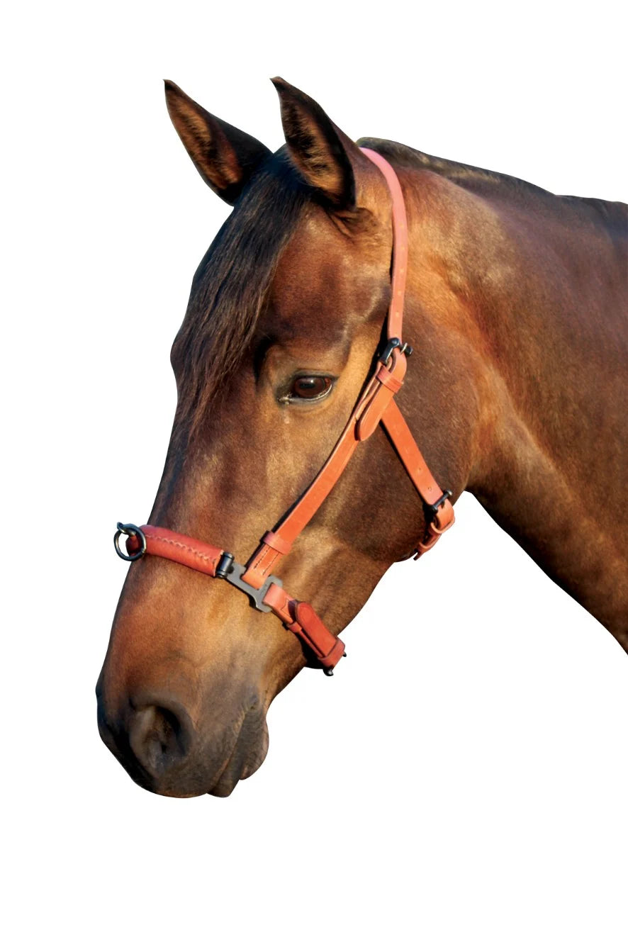 Spanish Cavesson Leather Black | Horse Supplies - Bridles | Saddleworld Ipswich