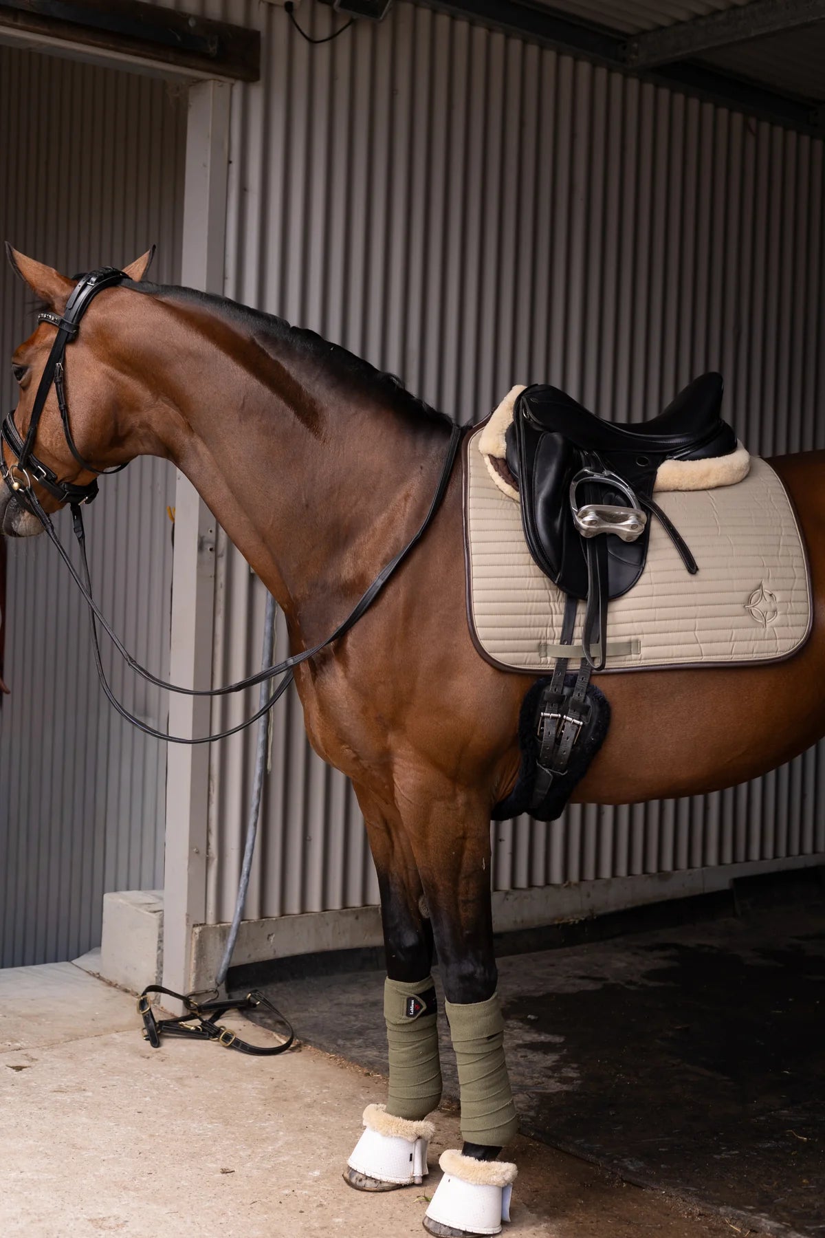 Stella Cavalla Oak Pad | Horse SUpplies - Saddle Cloth | Saddleworld Ipswich