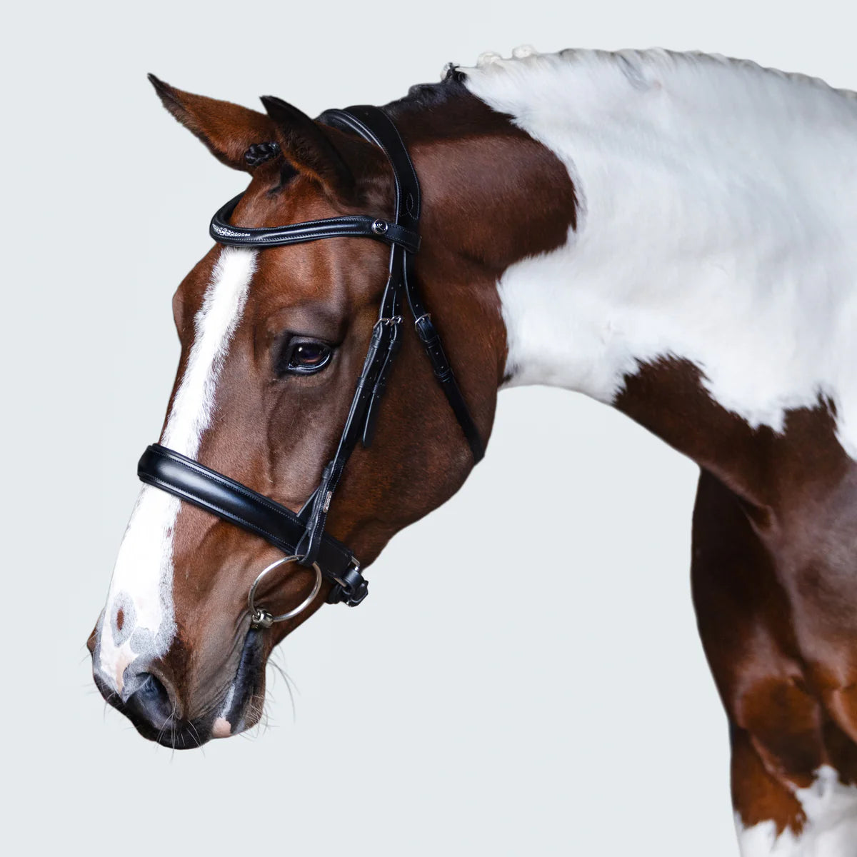 Lumiere Stella Bridle