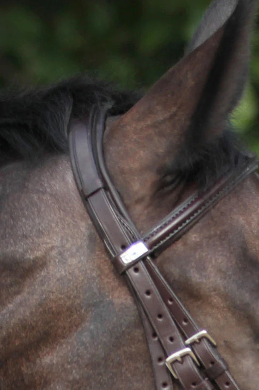 Stubben Leitrim Snaffle Bridle | Horse Supplies - Bridle | Saddleworld Ipswich